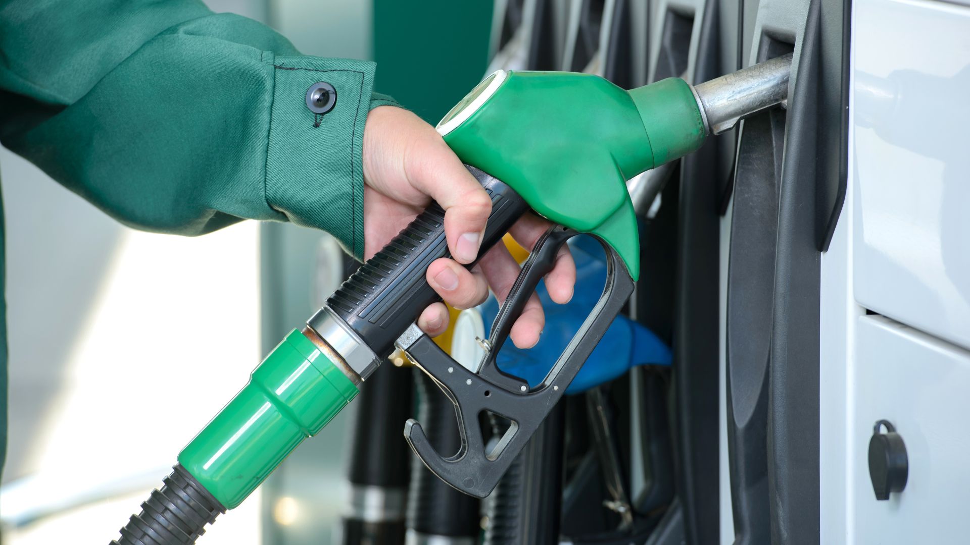 vivaoil.com petrol price nov 2024