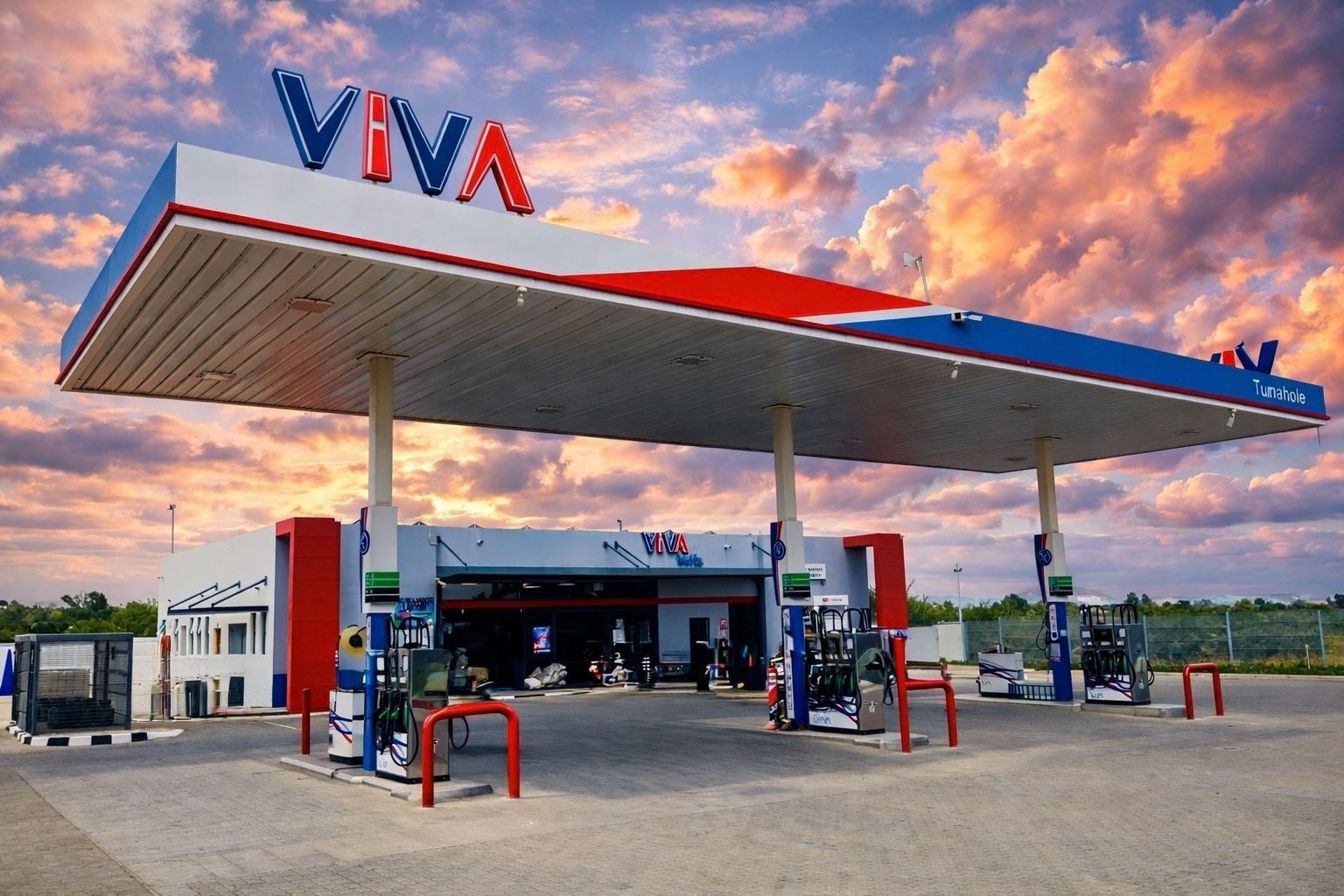 vivaoil.com petrol price nov 2024